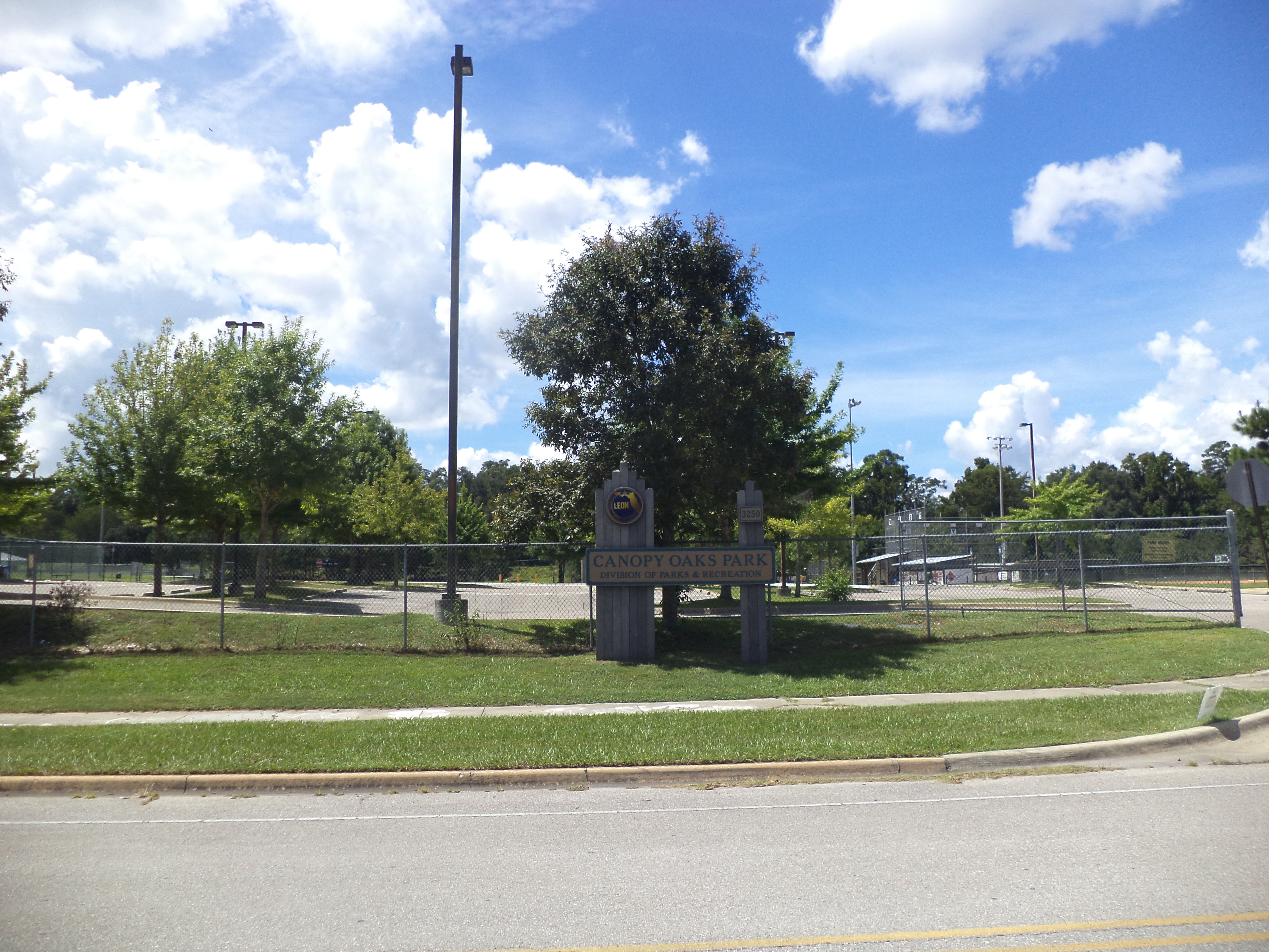 Live oaks at Canopy Oaks Park in Tallahassee